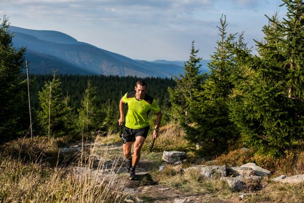 Trail runner bosco abeti