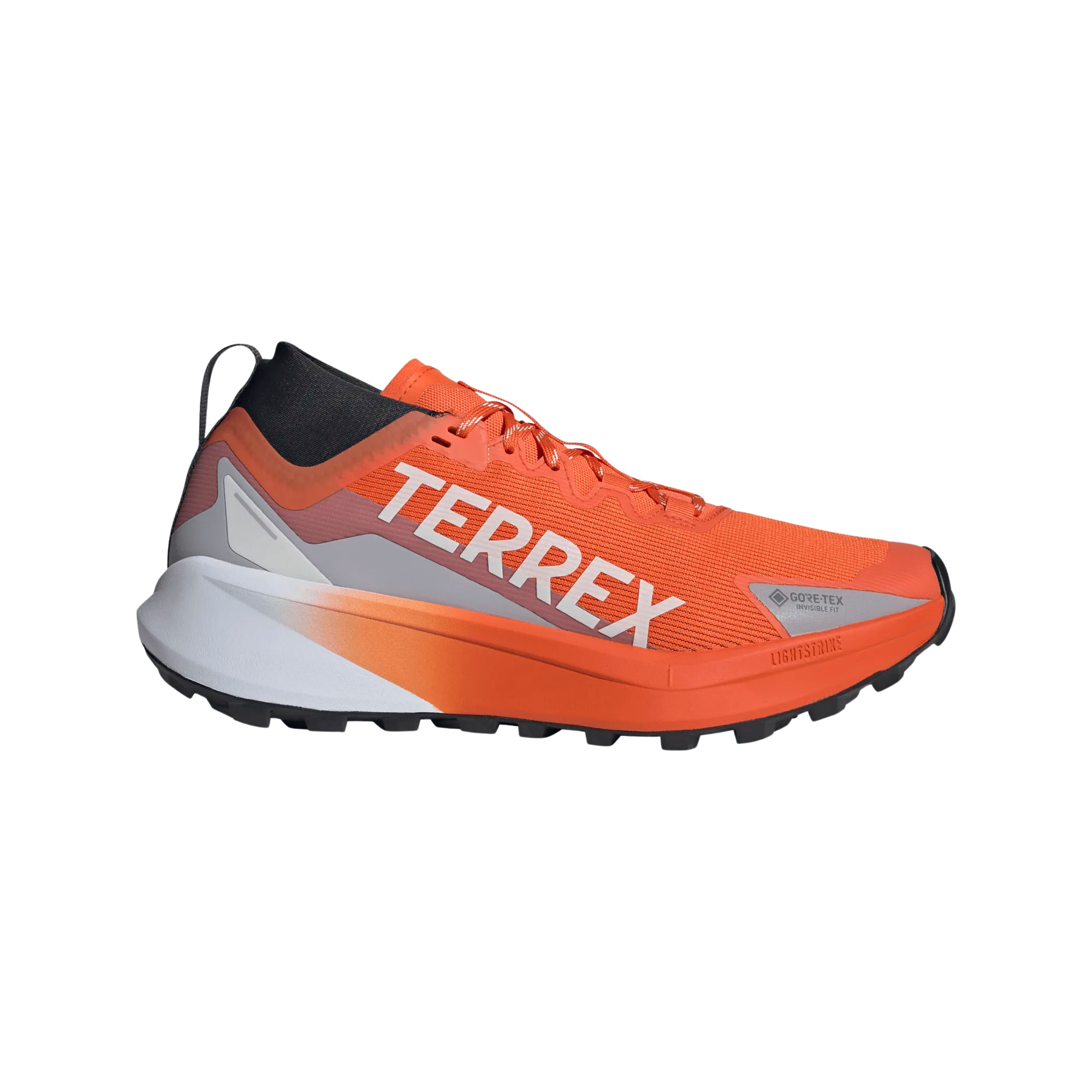 Terrex Agravic GTX
(Uomo)